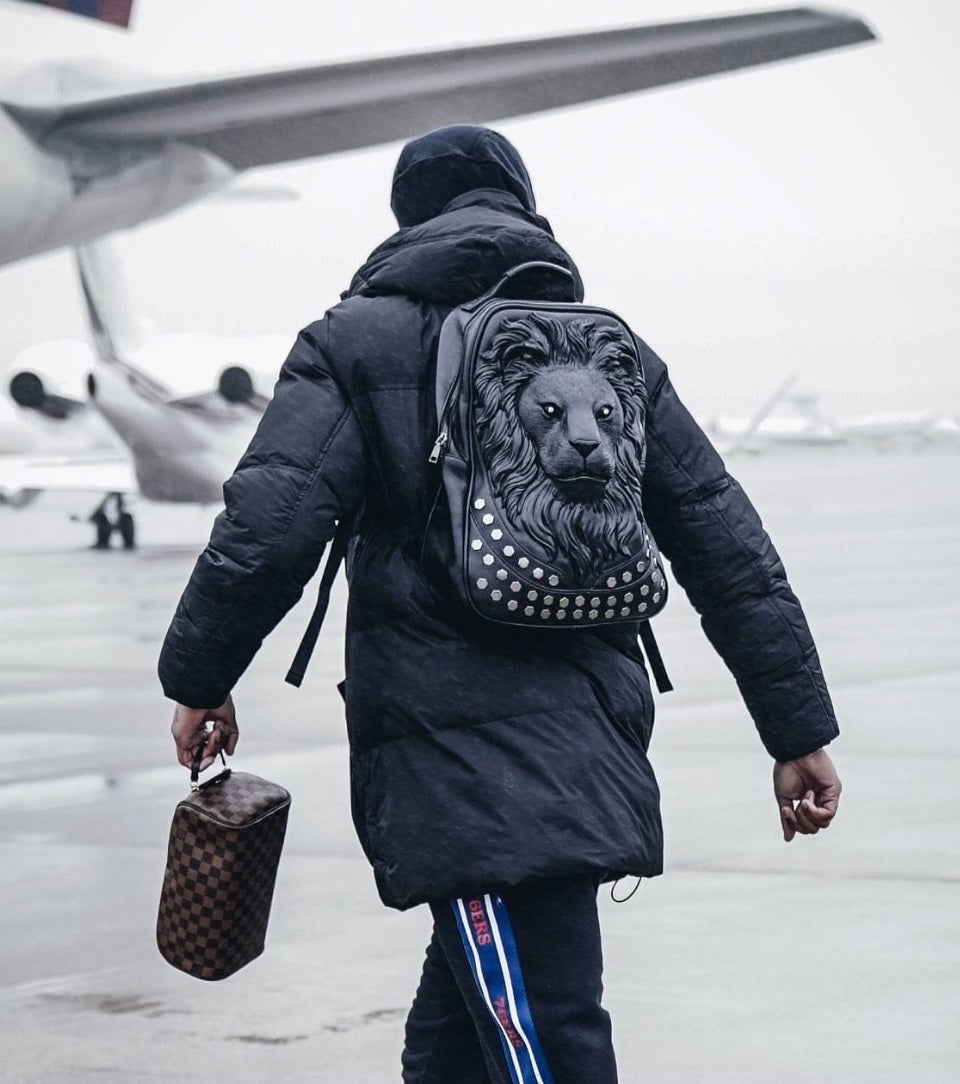 Person wearing a black coat and ybOrdinary backpack, holding a suitcase, in front of an airplane.