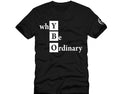 ybOrdinary - YBO Block Tee (Different Colors Available)